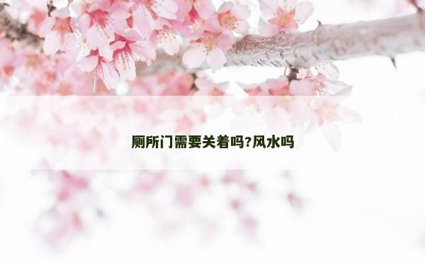廁所門需要關著嗎?風水嗎