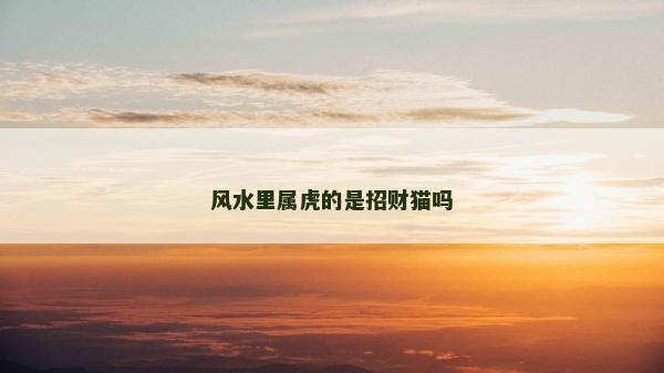 風水里屬虎的是招財貓嗎