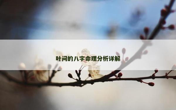 葉問的八字命理分析詳解
