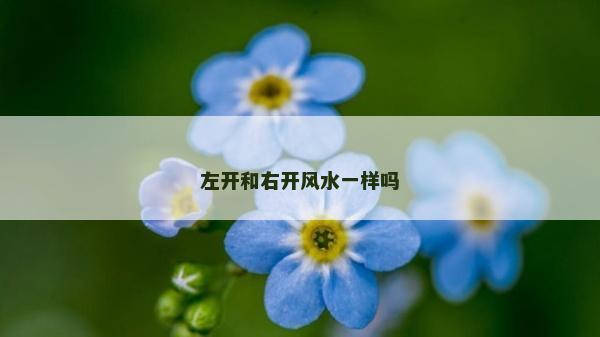 左開和右開風水一樣嗎