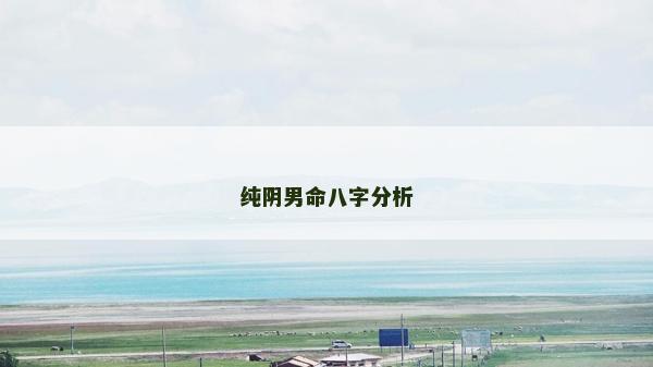 純陰男命八字分析
