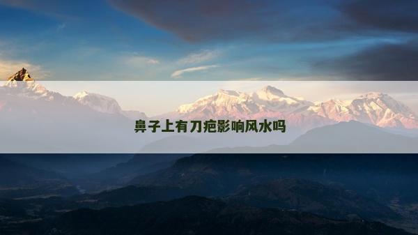 鼻子上有刀疤影響風水嗎