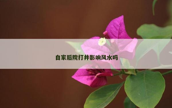 自家后院打井影響風(fēng)水嗎