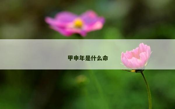 甲申年是什么命