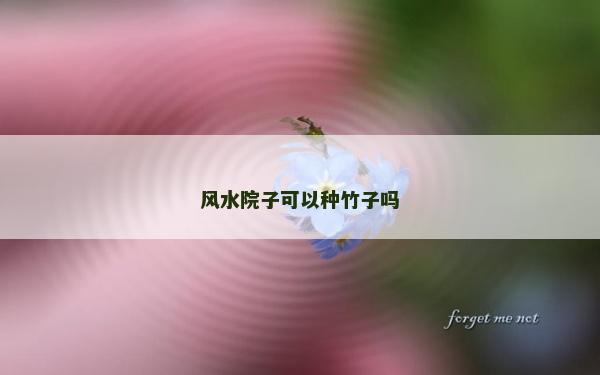 風水院子可以種竹子嗎