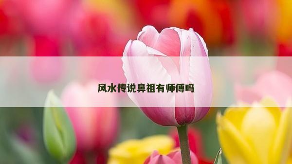 風水傳說鼻祖有師傅嗎