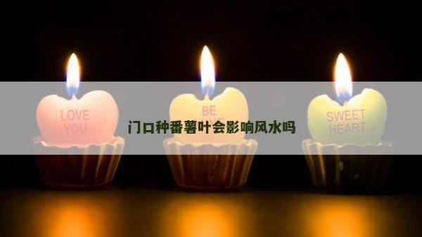 門口種番薯葉會影響風水嗎