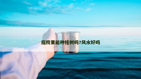 庭院里能種桂樹嗎?風(fēng)水好嗎