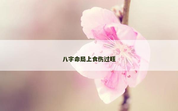 八字命局上食傷過旺