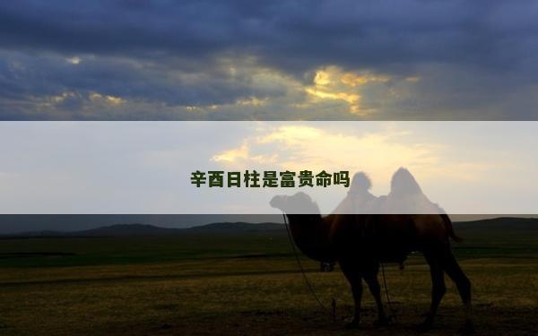 辛酉日柱是富貴命嗎