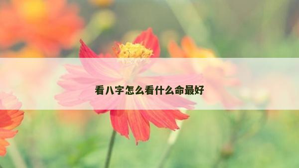 看八字怎么看什么命最好