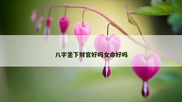 八字坐下財官好嗎女命好嗎