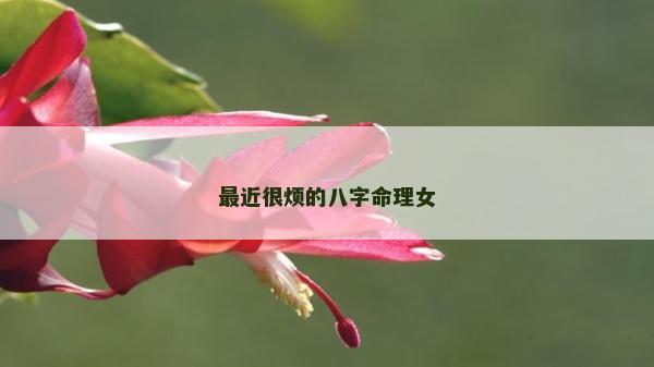 最近很煩的八字命理女