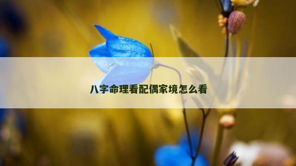 八字命理看配偶家境怎么看