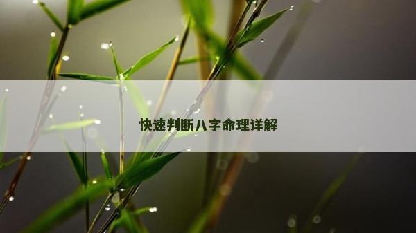 快速判斷八字命理詳解