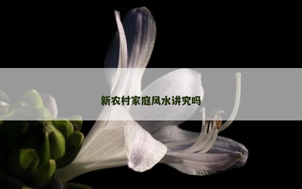 新農(nóng)村家庭風(fēng)水講究嗎