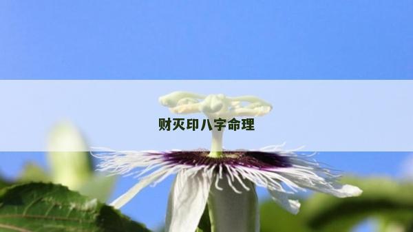財滅印八字命理 財滅印八字命理