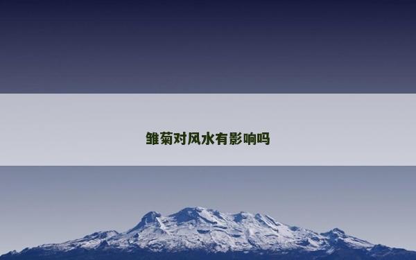 雛菊對風水有影響嗎