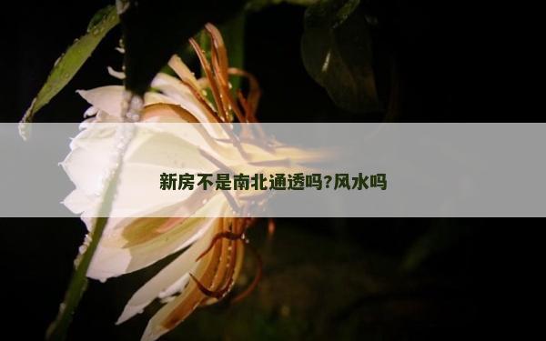 新房不是南北通透嗎?風水嗎