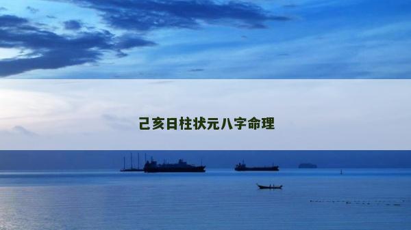 己亥日柱狀元八字命理