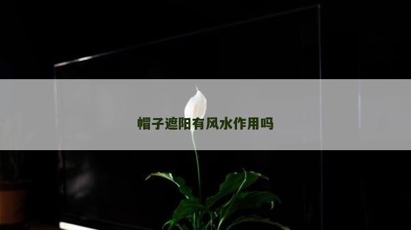 帽子遮陽有風(fēng)水作用嗎