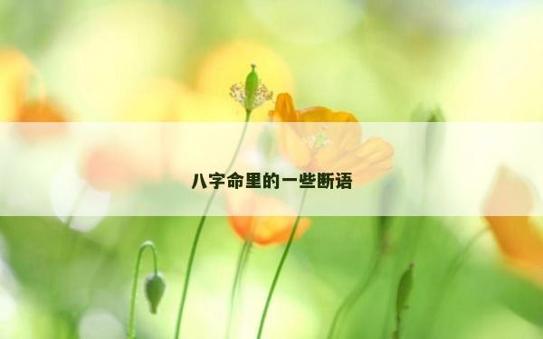 八字命里的一些斷語