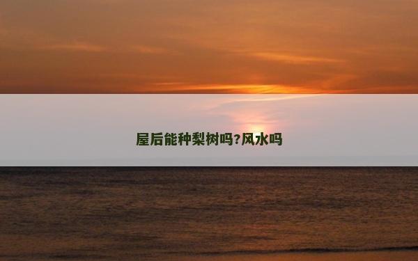 屋后能種梨樹嗎?風水嗎