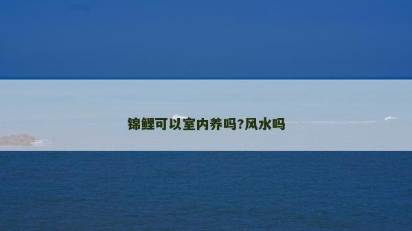 錦鯉可以室內養嗎?風水嗎