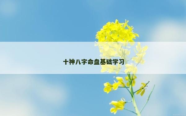 十神八字命盤基礎學習