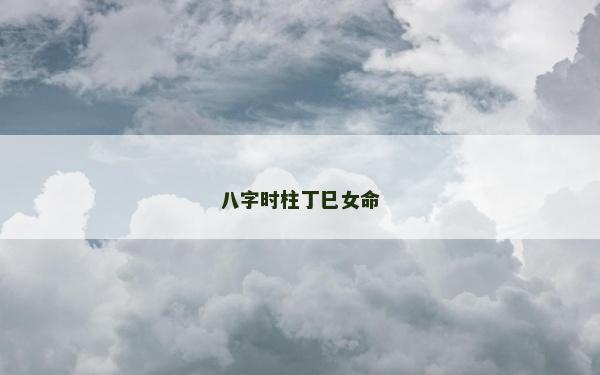 八字時柱丁巳女命