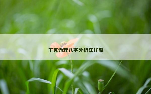 丁克命理八字分析法詳解