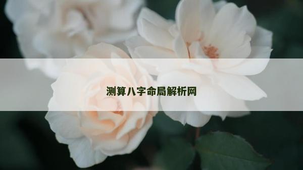 測算八字命局解析網(wǎng)