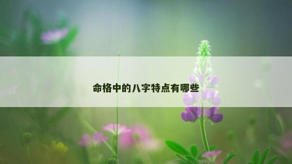 命格中的八字特點有哪些