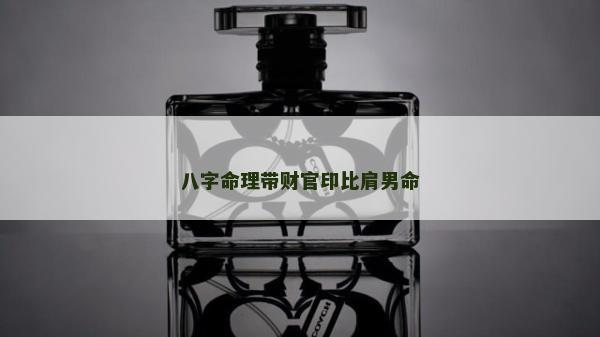 八字命理帶財官印比肩男命
