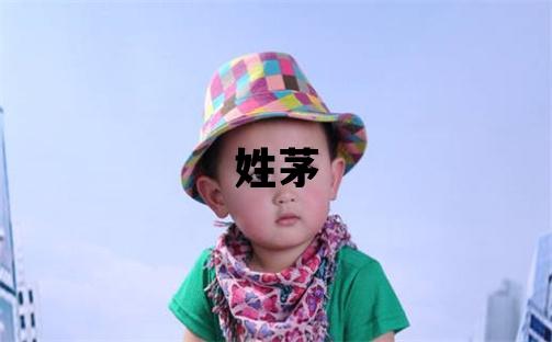 姓茅叫什么名字好 姓茅的女孩優美大方的名字