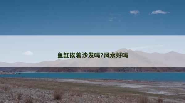 魚缸挨著沙發嗎?風水好嗎
