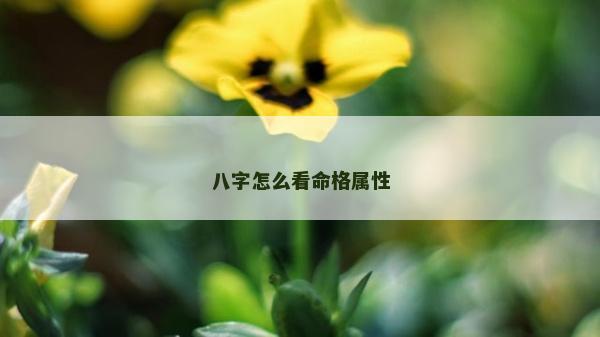 八字怎么看命格屬性