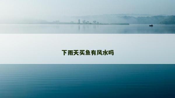 下雨天買魚有風(fēng)水嗎