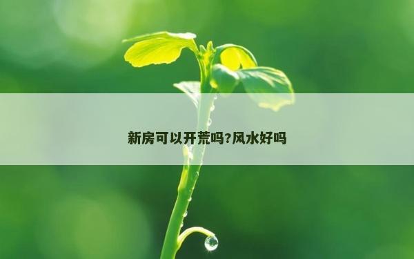 新房可以開荒嗎?風(fēng)水好嗎