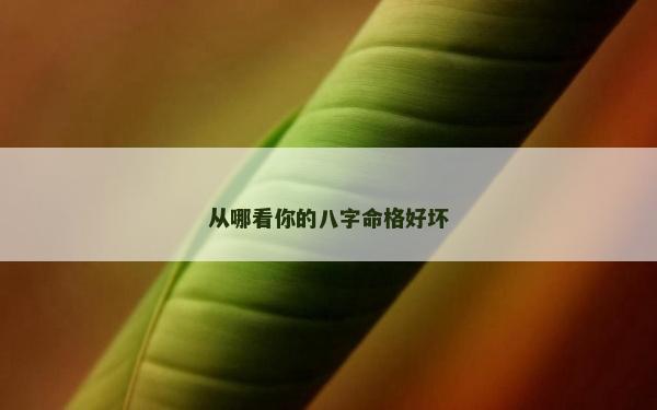 從哪看你的八字命格好壞