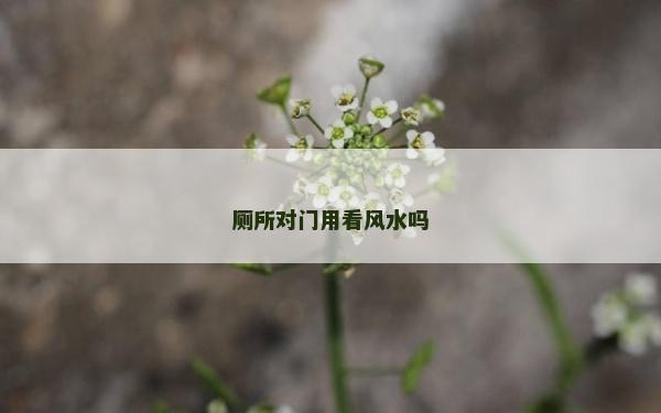 廁所對(duì)門用看風(fēng)水嗎