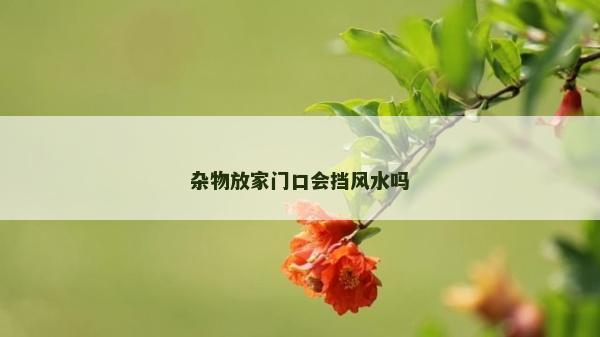 雜物放家門口會擋風水嗎