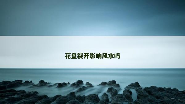 花盤裂開影響風水嗎