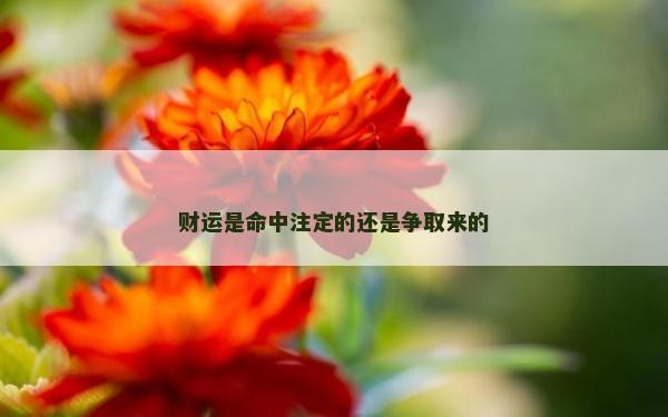財運是命中注定的還是爭取來的