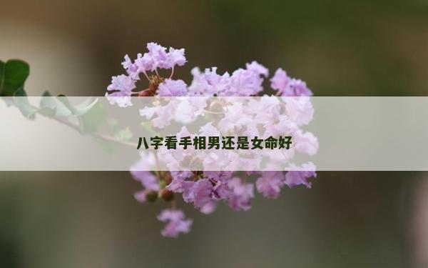 八字看手相男還是女命好