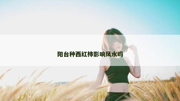 陽臺種西紅柿影響風水嗎