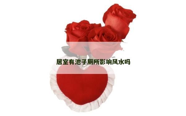 居室有池子廁所影響風水嗎