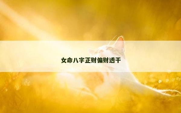 女命八字正財偏財透干