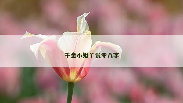 千金小姐丫鬟命八字