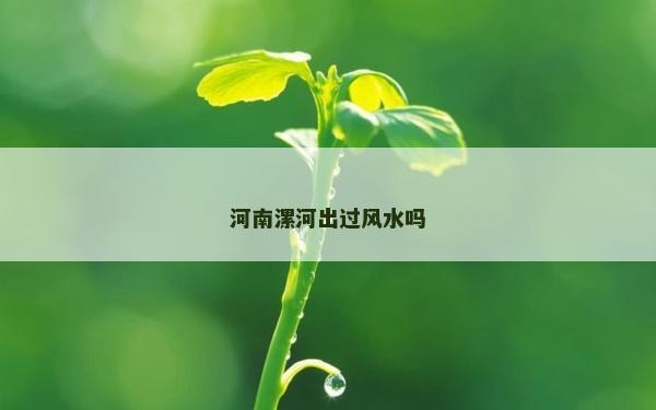 河南漯河出過風水嗎